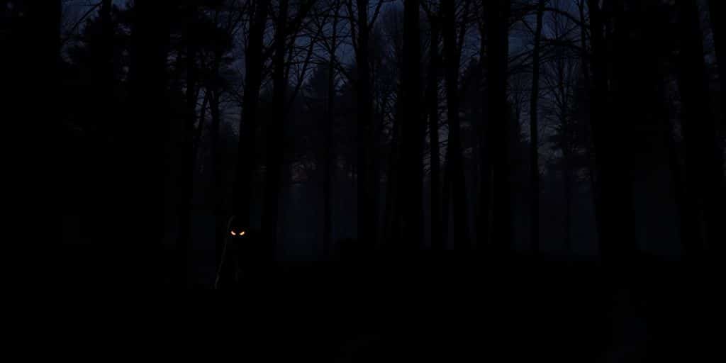 In the Shadows: Cataloging Uncanny Cryptid Sightings